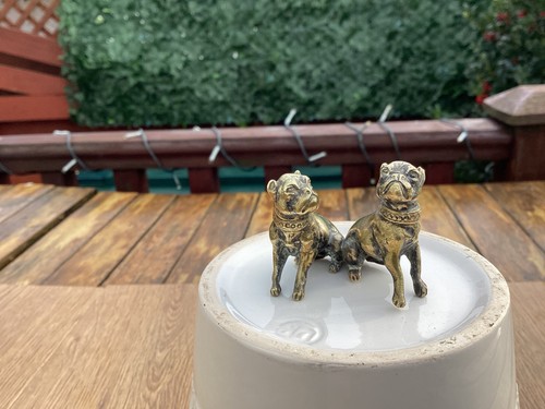 Boxer dogs solid - solid, brass
