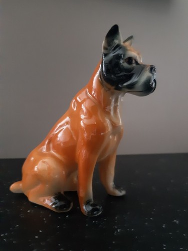 Vintage china boxer dog - vintage,