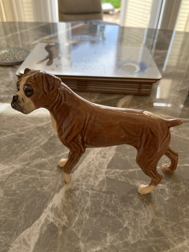 China boxer dog the charm - boxer,