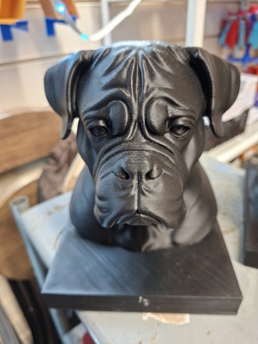 Boxer dog bust - ,