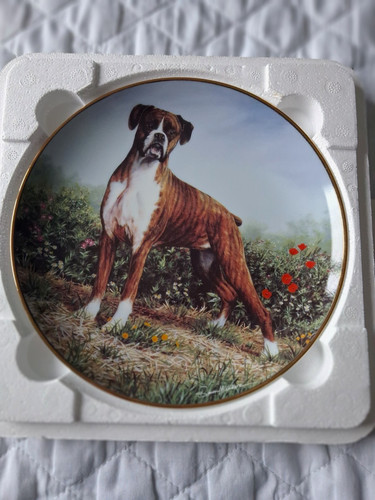 Danbury mint boxer dog - mint,