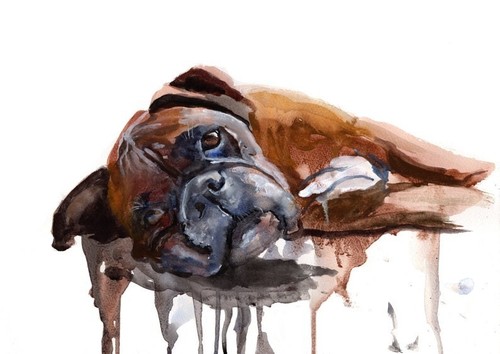 Painting boxer dog - of, a