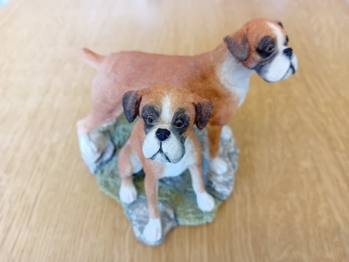 Sherratt simpson boxer - boxer, dogs