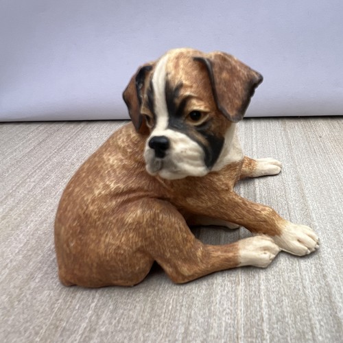 Border fine arts boxer - border,