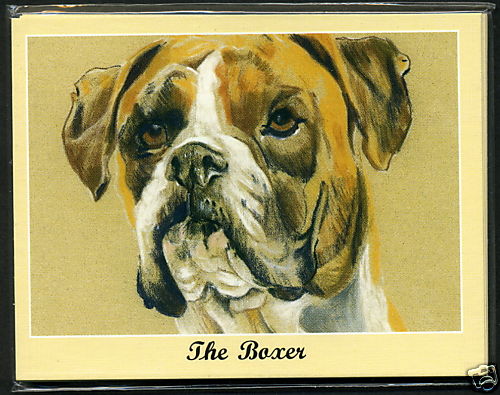 The boxer dog breeds - dog,