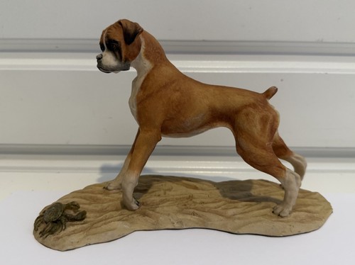 Heredities boxer dog beach - heredities,