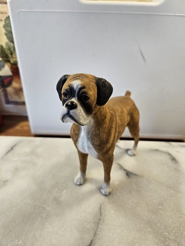 Leonardo fawn boxer dog - leonardo,