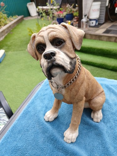 Boxer dog figurine country - boxer, figurine.