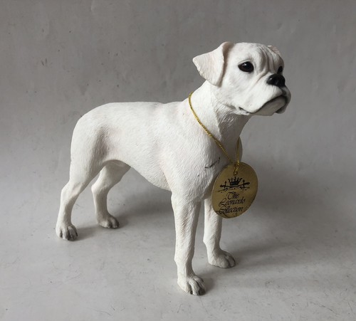 Leonardo white boxer - boxer, dog