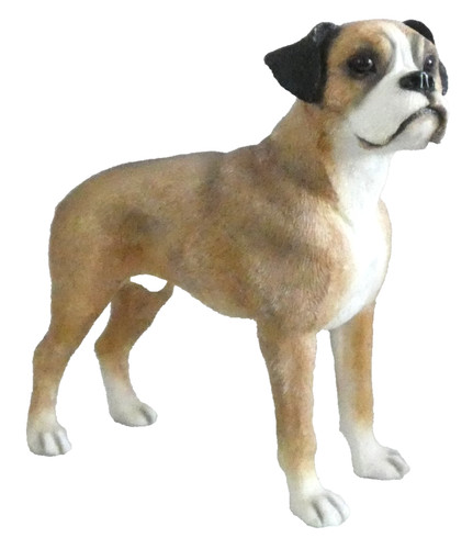 Boxer dog leonardo - dog,