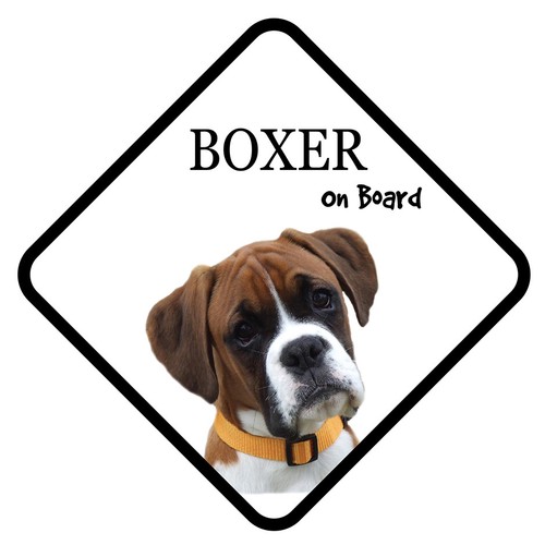 Boxer board car sign - board,