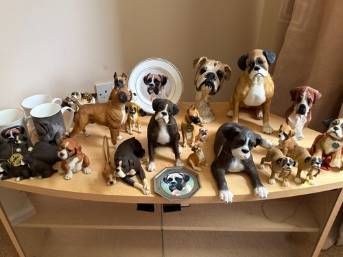 23pc boxer dog - boxer,