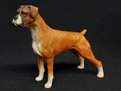 Country artists boxer dog - artists, dog'