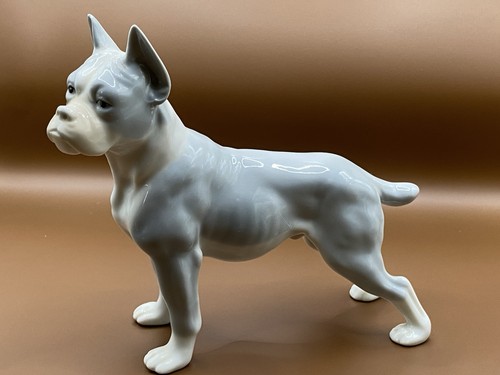 Stunning boxer dog - stunning, figure