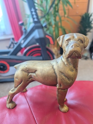 Heavy brass boxer dog - brass,