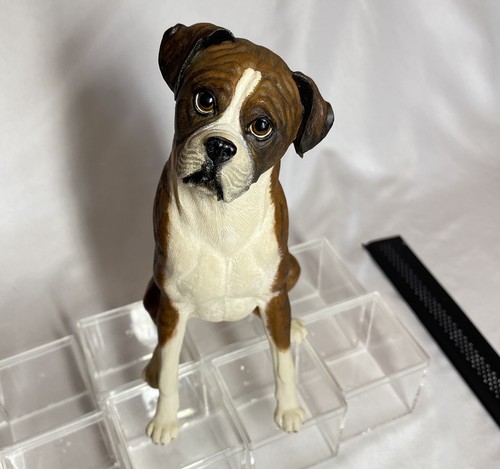 The eager boxer - the,