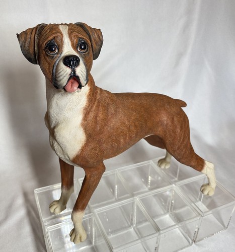 The loyal boxer - the,