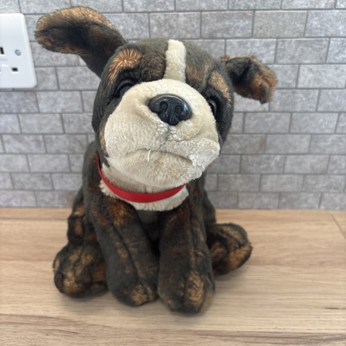 Keel biffa the - biffa, dog