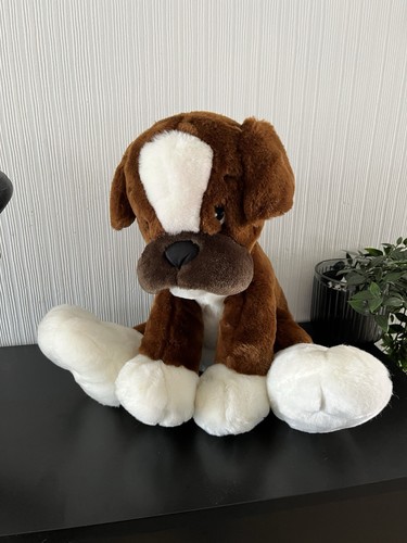 Mon ami boxer - ami,