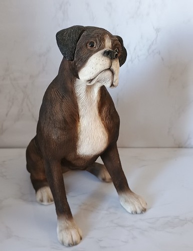 Boxer dog seated approx - -,