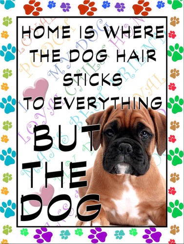 Boxer dog fridge magnet 100mm - dog, magnet,