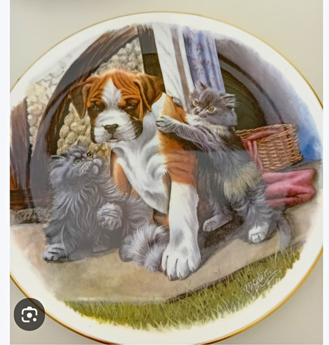 Danbury mint boxer - mint, dog