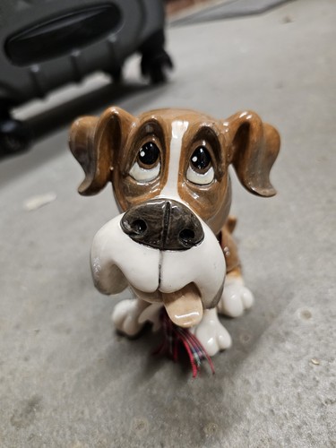 Little paws boo the boxer - boo,