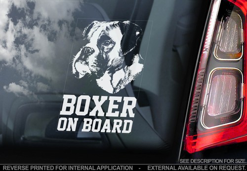 Boxer dog car window sticker - car,