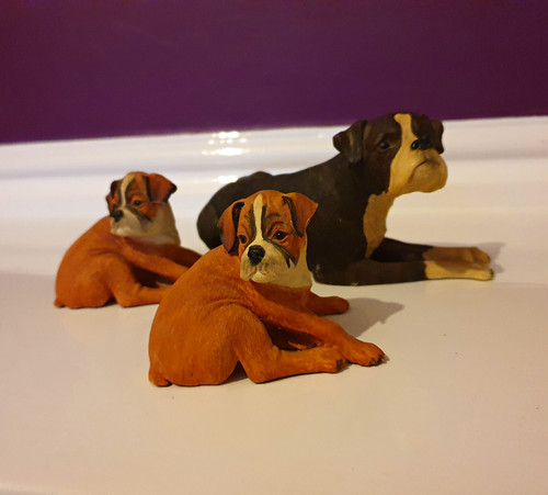 Vgood cond dogs - dogs, galore