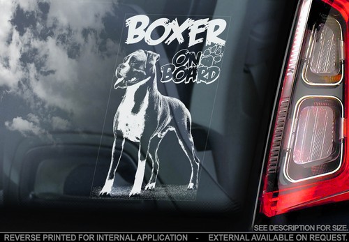 Boxer dog car - -, window