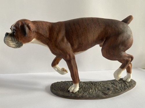 Boxer dog border - boxer,