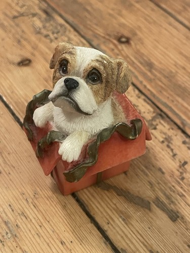 Boxer present puppy - boxer, puppy/dog