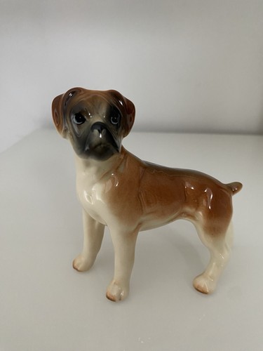 Whimsie wage boxer dog - whimsie,