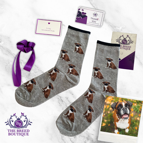 Boxer dog socks unisex one - boxer,