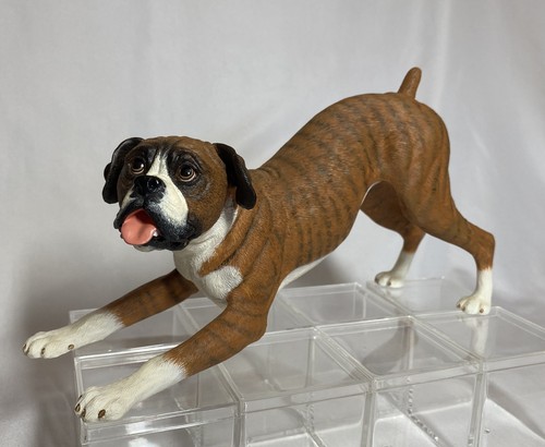 The playful boxer limited - boxer,