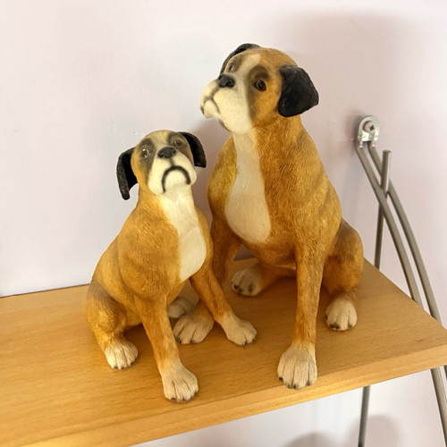 Leonardo pair boxer - leonardo, dog