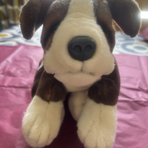 Boxer dog keel - boxer,