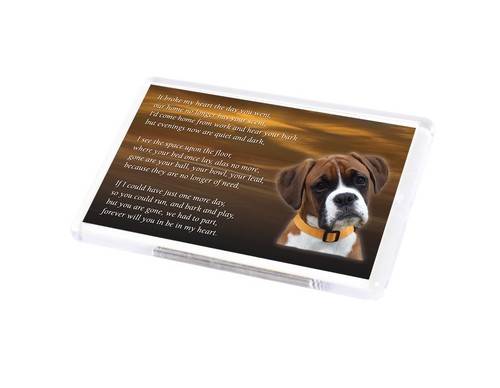 Boxer dog fridge magnet pet - fridge,