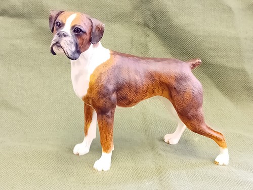 Vintage resin boxer dog - resin, 'boxer