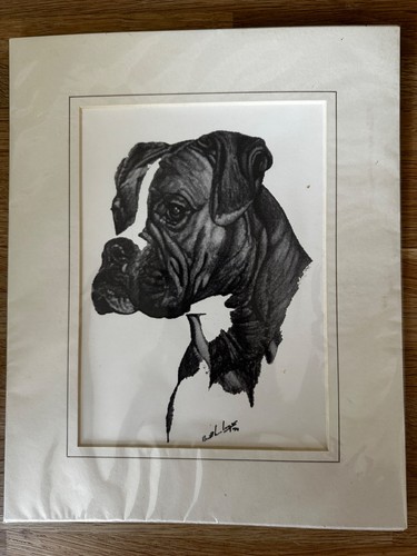 Boxer dog print and - boxer,