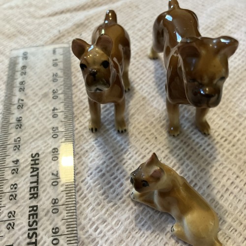 Set ceramic boxer dogs - set,