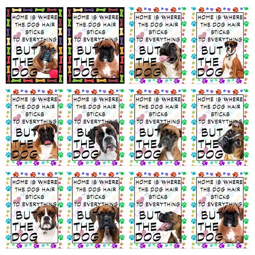 Boxer dog retro - boxer,