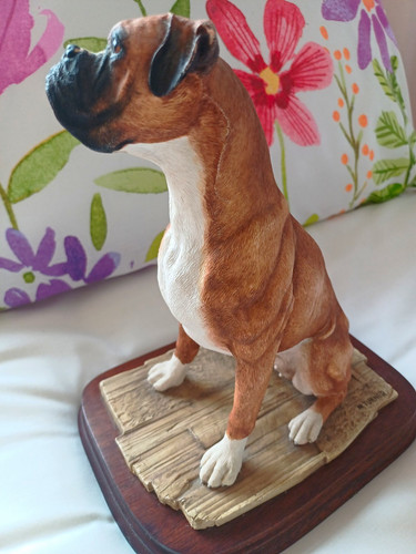 Border fine arts boxer dog - border,
