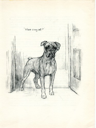 Boxer dog original - boxer,
