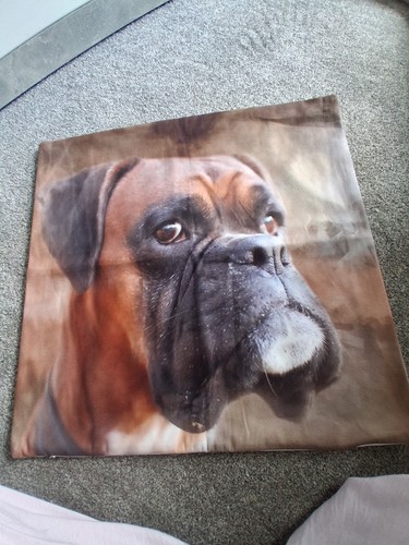 Brand new boxer dog - new,