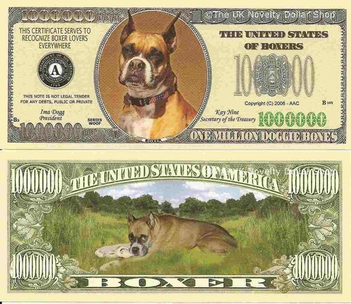 Boxer dog lovers one - dog,