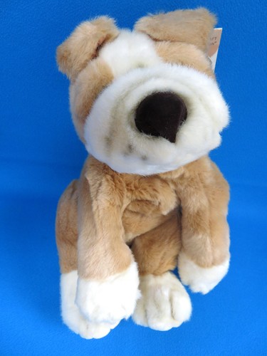Large long boxer - large,