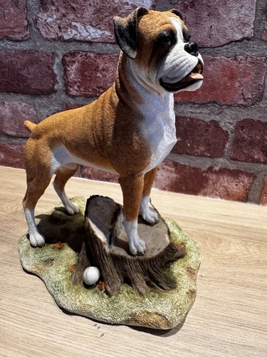 Sherratt simpson boxer dog - sherratt, &