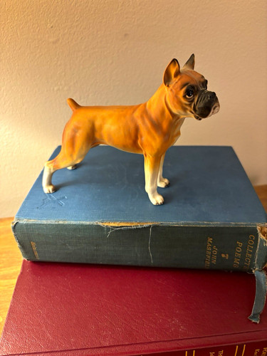 Boxer dog ceramic pottery - boxer, ceramic/pottery