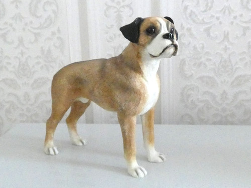Boxer dog leonardo - leonardo,